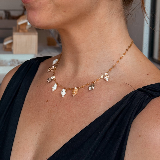 Seashell Necklace