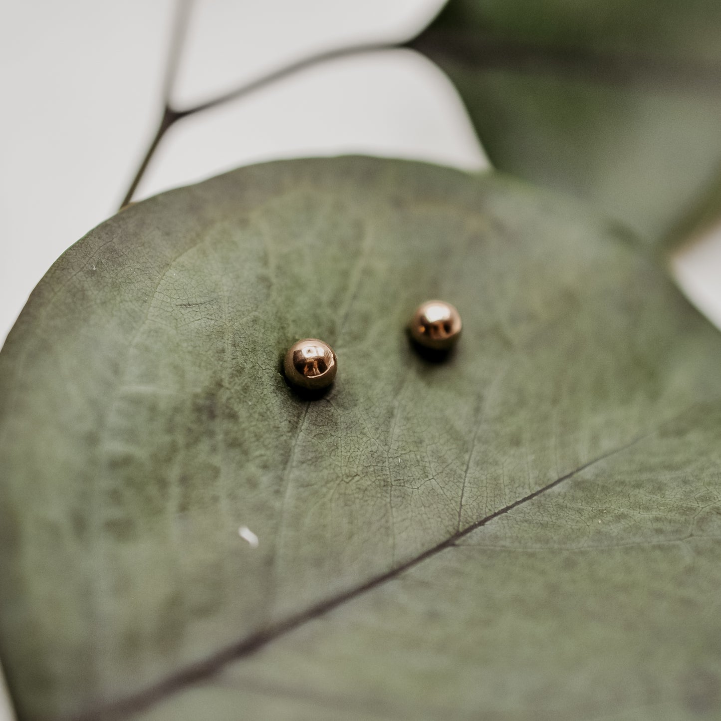 Set of Every Day Studs - Quad Espresso Jewelry
