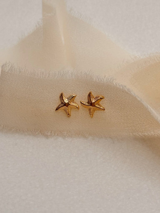 Thick Starfish Studs