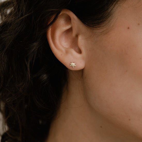 Turtle Studs - Quad Espresso Jewelry