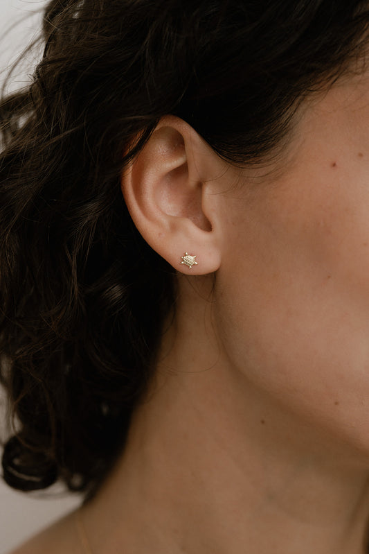 Turtle Studs - Quad Espresso Jewelry