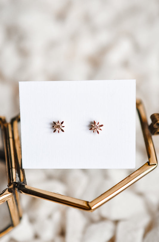 14k Solid Gold Compass Star Diamond Studs