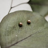 Gold Ball Studs - Quad Espresso Jewelry