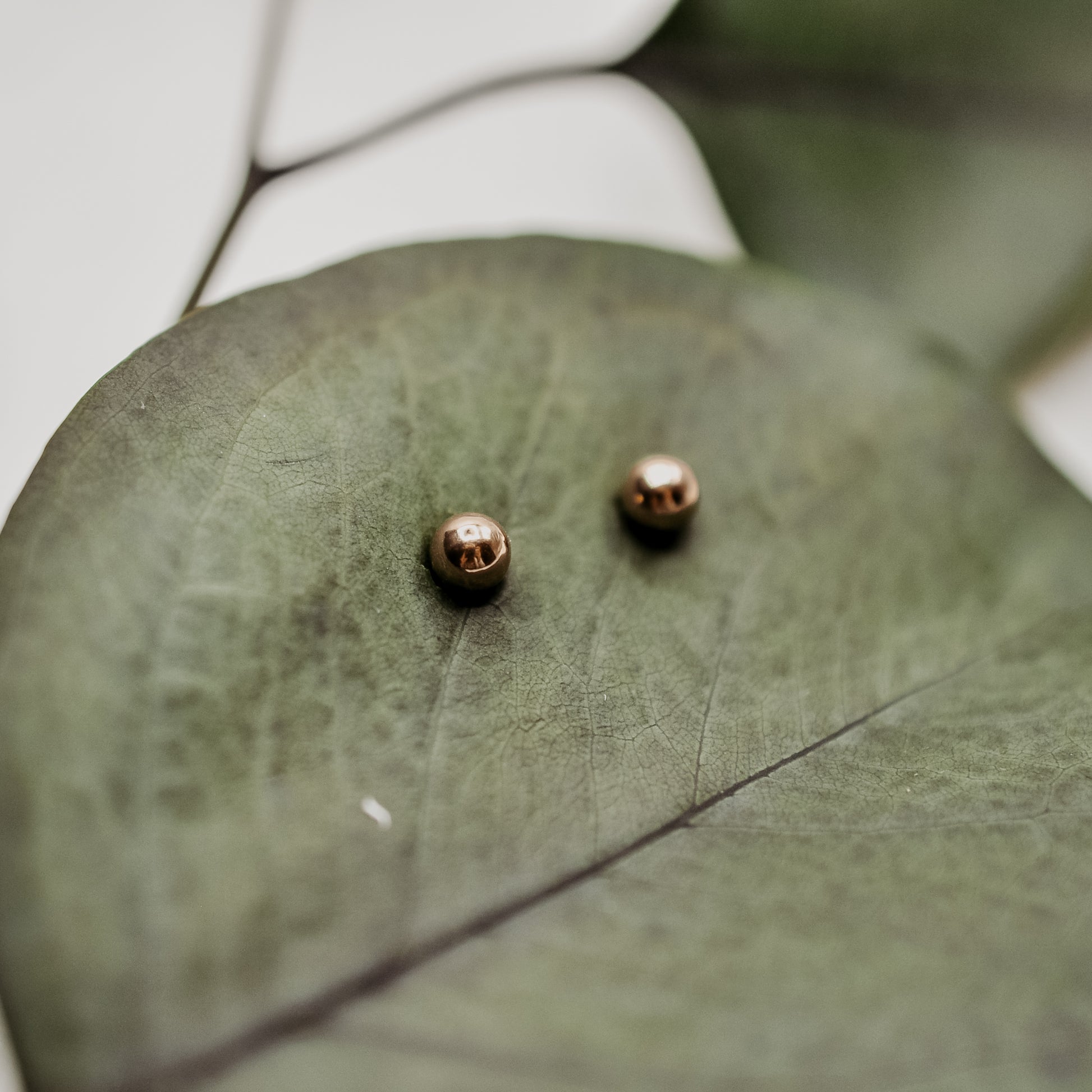 Gold Ball Studs - Quad Espresso Jewelry