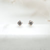 Every Day Shiny Studs - Quad Espresso Jewelry