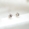 Set of Every Day Studs - Quad Espresso Jewelry