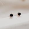 Every Day Black Studs - Quad Espresso Jewelry