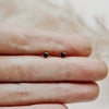 Every Day Black Studs - Quad Espresso Jewelry