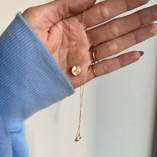 State Disc Necklace - Quad Espresso Jewelry